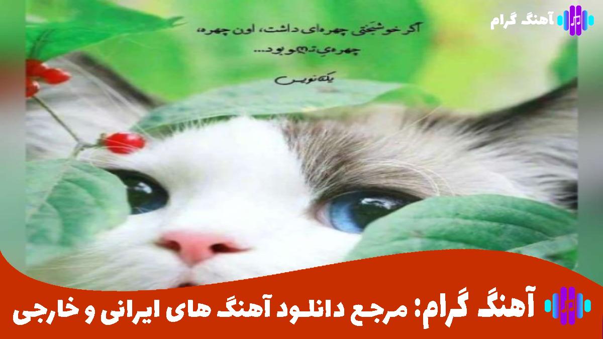 کاور آهنگ پناه از معین و مهستی